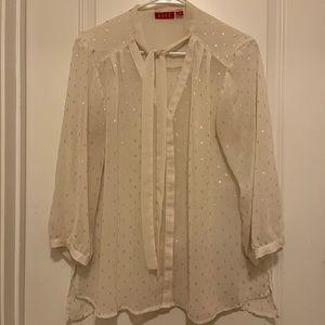 Sheer long sleeve blouse.